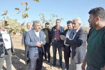 HÜDA PAR İL BAŞKANI ŞAHİN “FISTIK AĞAÇLARININ BULUNDUĞU YERDE TOKİ YAPILMAMALI”