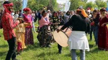 Roman vatandaşlara yönelik eylem planının hedefleri belirlendi